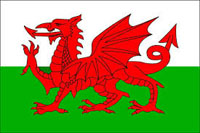 The Flag of Wales.