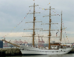 The Guayas